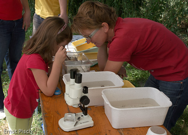 Gaisaufest - Naturschutzgebiet Gaisau, 2011
